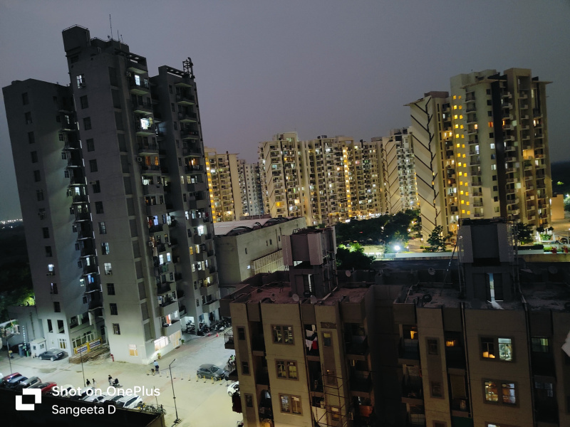 2 BHK Apartment 780 Sq.ft. for Rent in Sector 89 Gurgaon