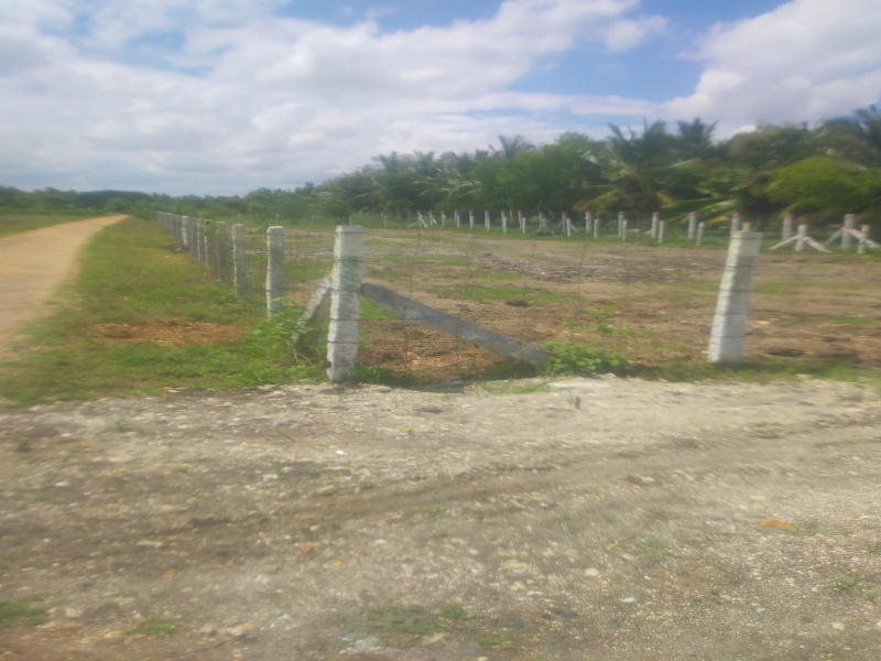  Residential Plot 25 Cent for Sale in Annur, Coimbatore