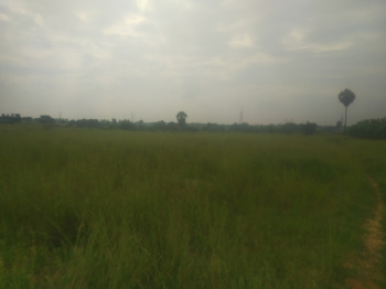  Residential Plot for Sale in Annur, Coimbatore