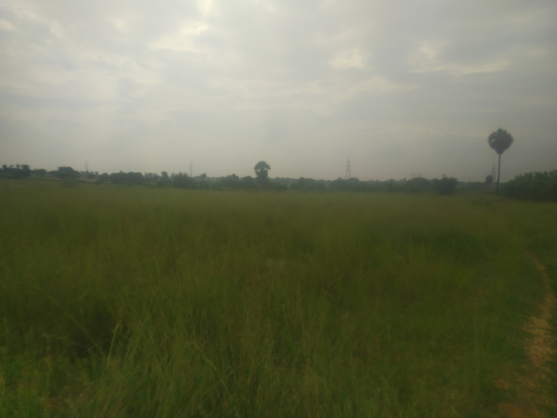  Residential Plot 9 Acre for Sale in Annur, Coimbatore