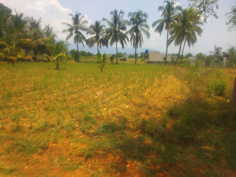 1 BHK Farm House 50 Cent for Sale in Annur Metu Palayam, Coimbatore