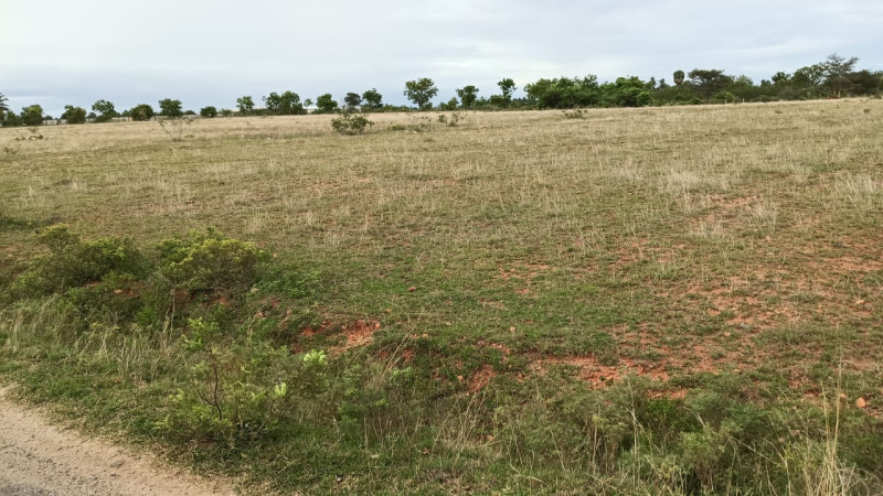  Residential Plot 5 Acre for Sale in Annur, Coimbatore