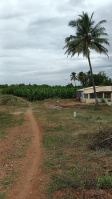  Agricultural Land for Sale in Sirumugai, Coimbatore