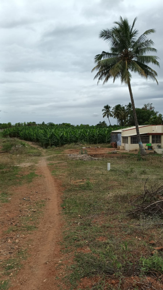  Agricultural Land 9 Acre for Sale in Sirumugai, Coimbatore