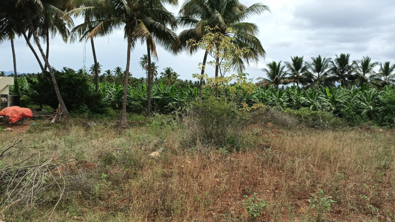  Agricultural Land 9 Acre for Sale in Sirumugai, Coimbatore
