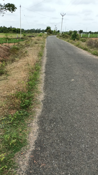  Agricultural Land 60 Cent for Sale in Annur, Coimbatore