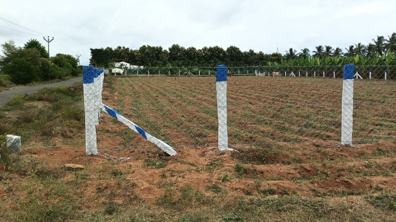  Agricultural Land 60 Cent for Sale in Annur, Coimbatore