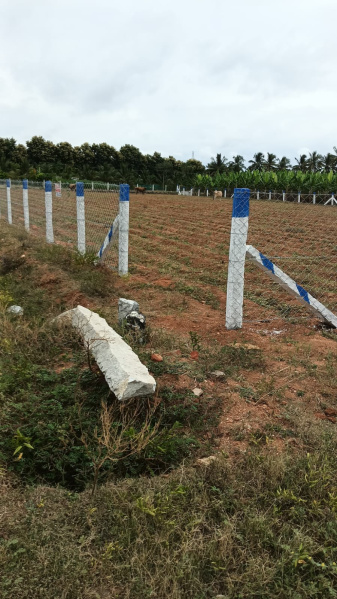  Agricultural Land 60 Cent for Sale in Annur, Coimbatore