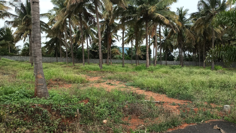  Residential Plot 1 Acre for Sale in Kalapatti, Coimbatore