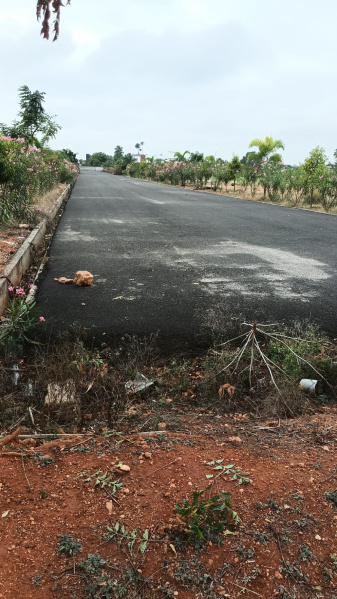  Residential Plot 1 Acre for Sale in Kalapatti, Coimbatore
