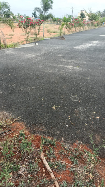  Residential Plot 1 Acre for Sale in Kalapatti, Coimbatore