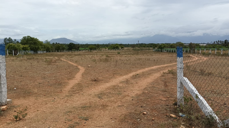  Residential Plot 3 Acre for Sale in Annur, Coimbatore