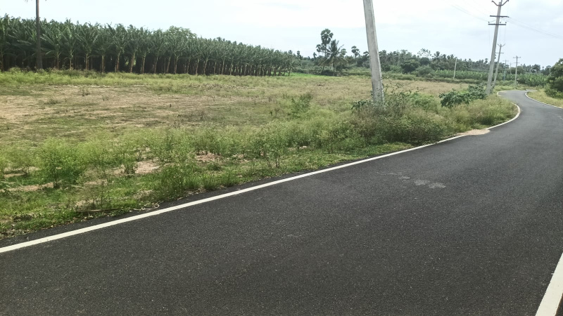  Agricultural Land 25 Cent for Sale in Karuvalur, Coimbatore