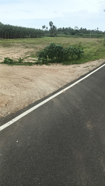  Agricultural Land 25 Cent for Sale in Karuvalur, Coimbatore