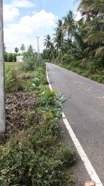  1 Acre Agricultural/Farm Land for Sale in Karuvalur, Coimbatore