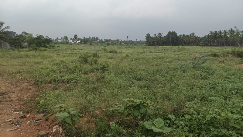  12 Acre Residential Plot for Sale in Kovilpalayam, Coimbatore