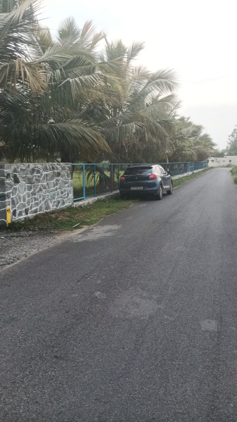  25 Cent Agricultural/Farm Land for Sale in Annur Metu Palayam, Coimbatore