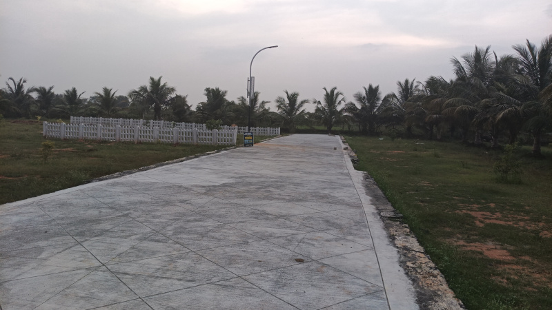  25 Cent Agricultural/Farm Land for Sale in Annur Metu Palayam, Coimbatore