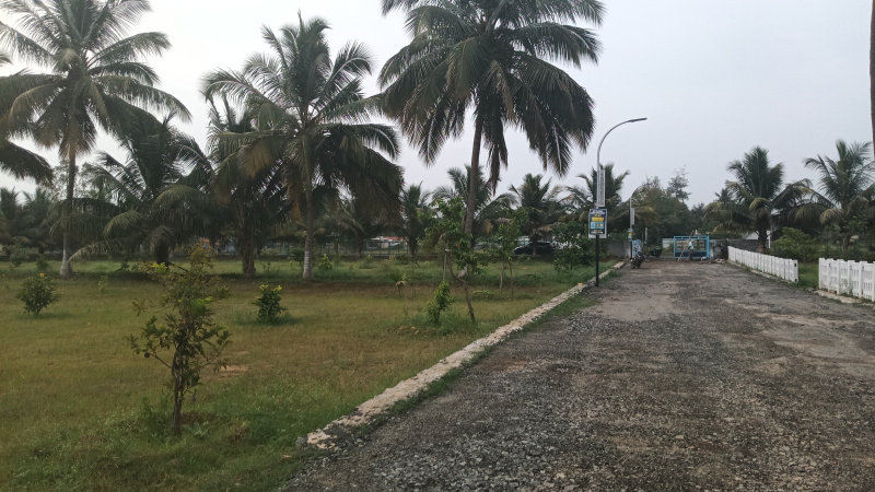  25 Cent Agricultural/Farm Land for Sale in Annur Metu Palayam, Coimbatore