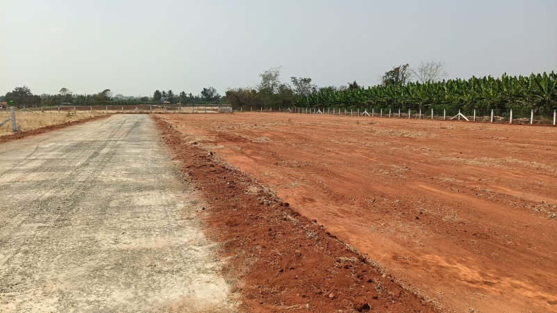  1 Acre Agricultural/Farm Land for Sale in Ganeshapuram, Coimbatore