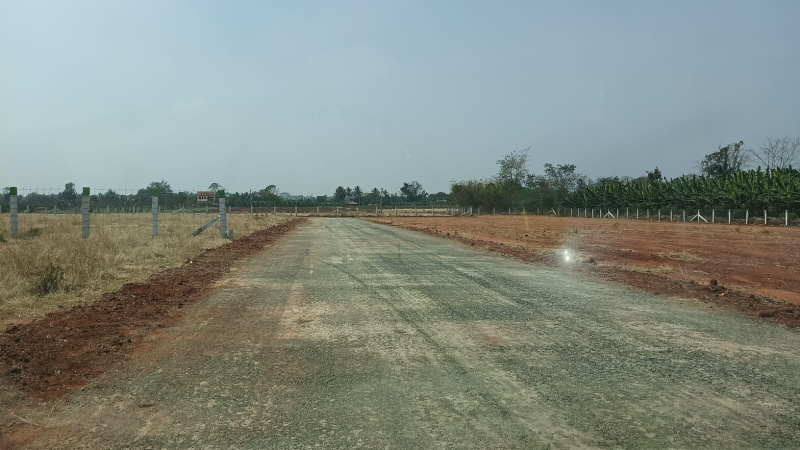  1 Acre Agricultural/Farm Land for Sale in Ganeshapuram, Coimbatore