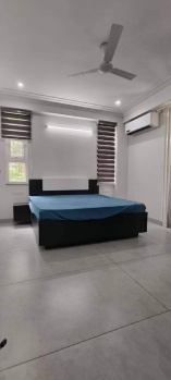 1.5 BHK Builder Floor for Rent in Sector 8 Rohini, Delhi