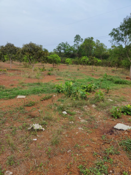  Commercial Land for Rent in Jankia, Khordha