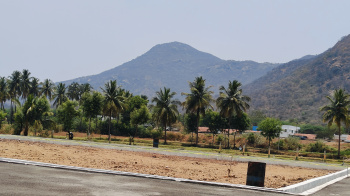  Residential Plot for Sale in Dalavaipatti, Salem