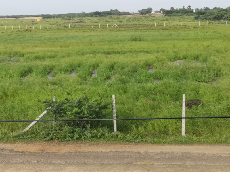  Agricultural Land 3 Acre for Sale in Ponneri, Thiruvallur