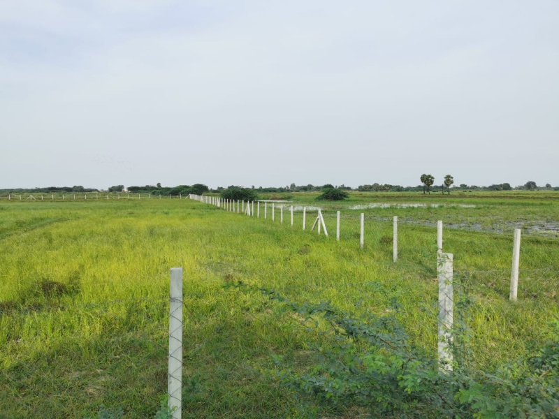  Agricultural Land 3 Acre for Sale in Ponneri, Thiruvallur