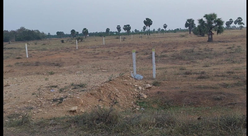  4 Acre Agricultural/Farm Land for Sale in Megnanapuram, Thoothukudi