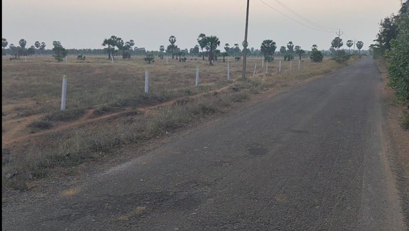  4 Acre Agricultural/Farm Land for Sale in Megnanapuram, Thoothukudi