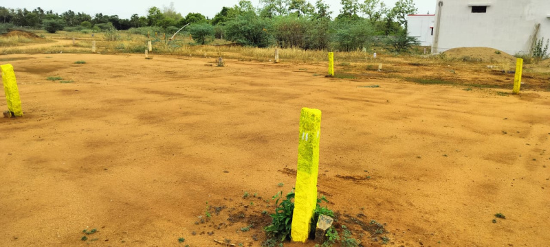  Residential Plot 700 Sq.ft. for Sale in Aruppukkottai, Virudhunagar