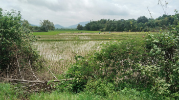  Industrial Land for Sale in Jeypore, Koraput