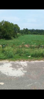  Residential Plot for Sale in Delhi Roorkee Highway, Haridwar