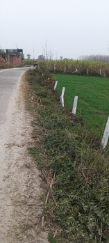  Agricultural Land for Sale in Laksar, Haridwar