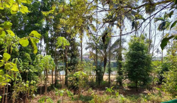  Commercial Land for Sale in Koratty, Thrissur