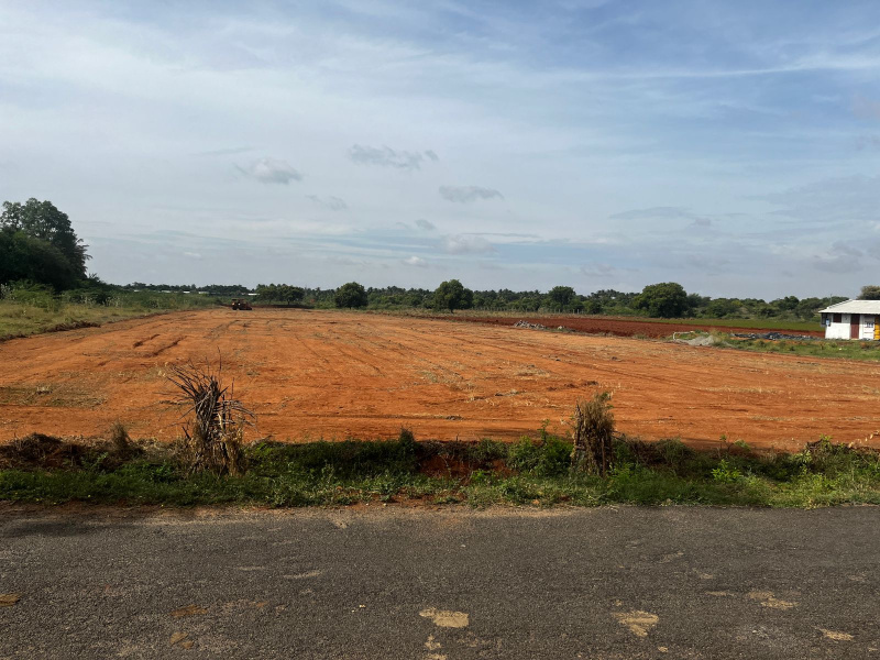  Agricultural Land 2 Acre for Sale in Avanashi, Tirupur