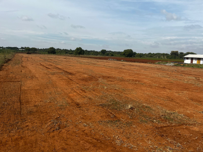  Agricultural Land 2 Acre for Sale in Avanashi, Tirupur