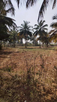  Industrial Land for Sale in Dabaspete, Bangalore