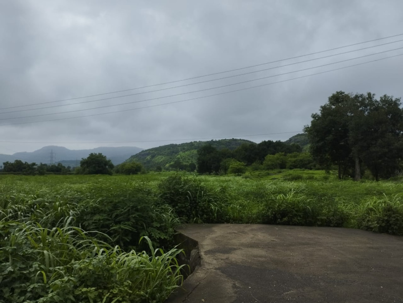  Agricultural Land 5 Acre for Sale in Khalapur, Raigad