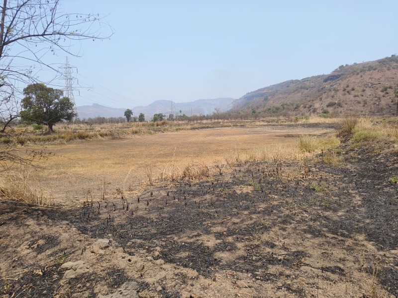  Agricultural Land 5 Acre for Sale in Khalapur, Raigad