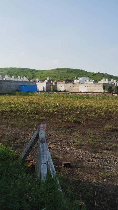  Residential Plot 300 Sq.ft. for Sale in Pithampur, Indore