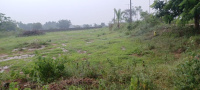 Agricultural Land for Sale in Bhongir, Yadadri Bhuvanagiri