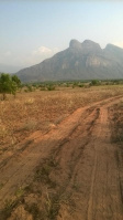  Agricultural Land for Sale in Palani, Dindigul
