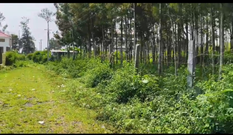  Residential Plot 2400 Sq.ft. for Sale in Yercaud, Salem