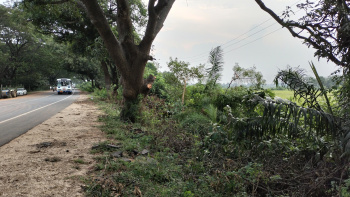  Agricultural Land for Sale in Penuballi, Khammam