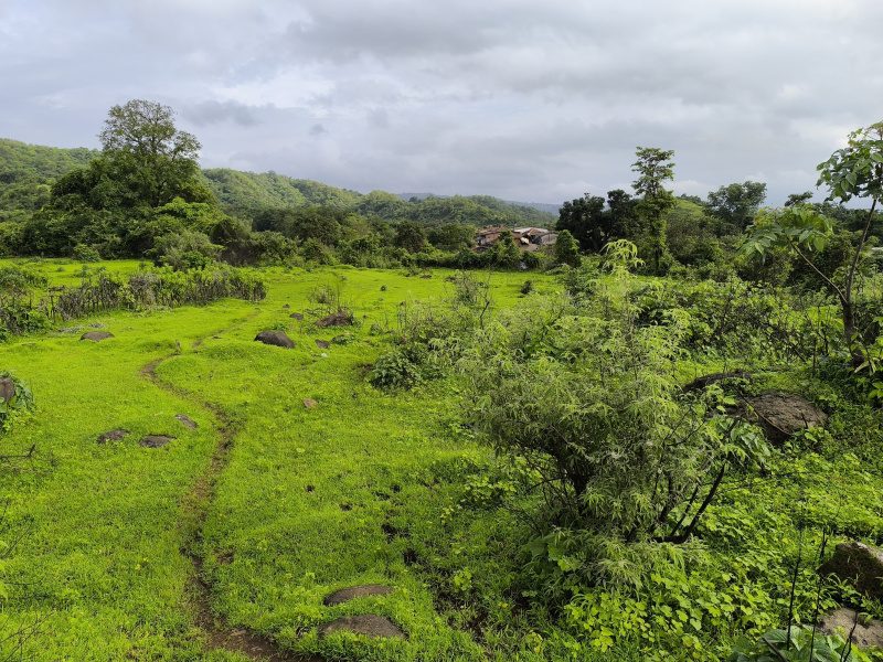  Residential Plot 1089 Sq.ft. for Sale in Pen, Raigad