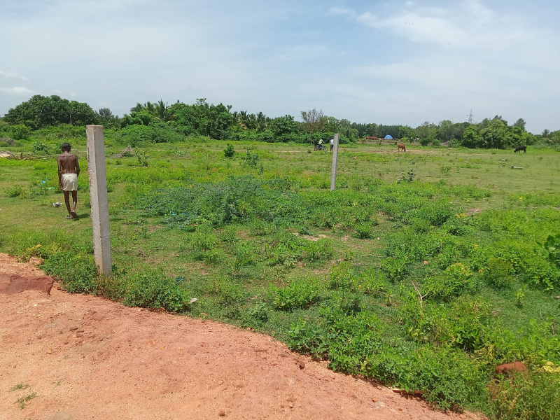  Residential Plot 1800 Sq.ft. for Sale in Villianur, Pondicherry