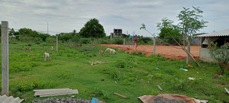  Residential Plot 1800 Sq.ft. for Sale in Villianur, Pondicherry